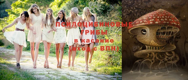 apvp Аркадак