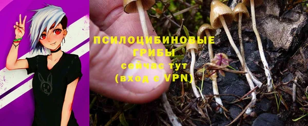 apvp Аркадак