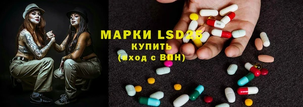 apvp Аркадак