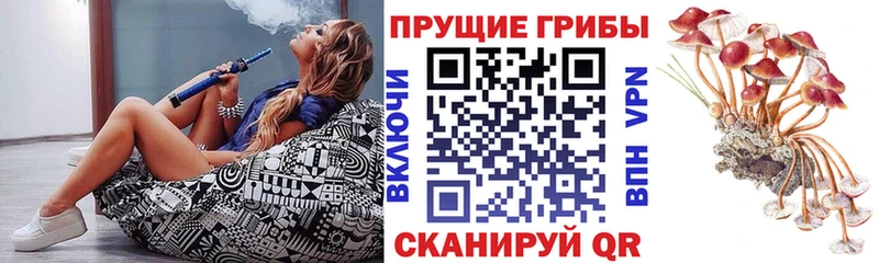Псилоцибиновые грибы GOLDEN TEACHER  Георгиевск 